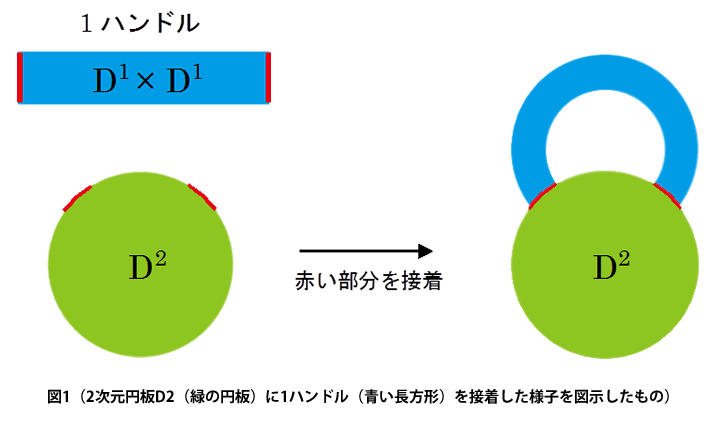 図１： 2次元円板D2（緑の円板）に1ハンドル（青い長方形）を接着した様子を図示したもの